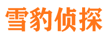 道外外遇出轨调查取证